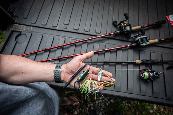 Top farm pond baits